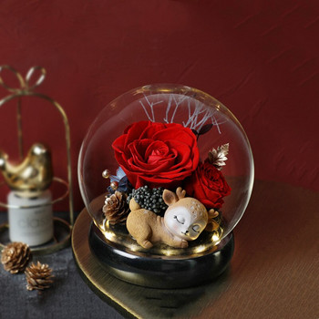 Диаметър=12 см среден размер кръгла ваза със стъклен купол Декорация на дома Черна основа Прозрачен капак Сватбен реквизит Подарък за приятел