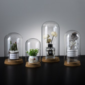 Didelio dydžio stiklinė kupolo vaza namų dekoravimui kamštienos pagrindas permatomas dangtelis Vestuvių rekvizitas „Pasidaryk pats“ draugui malonės dovana