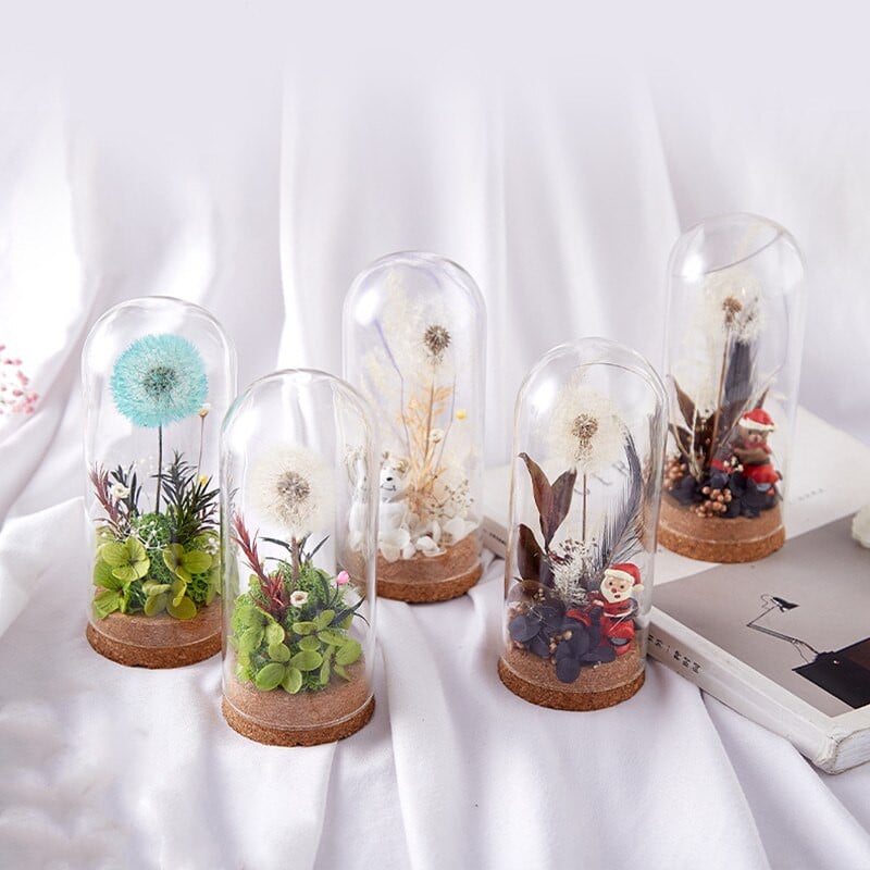 Didelio dydžio stiklinė kupolo vaza namų dekoravimui kamštienos pagrindas permatomas dangtelis Vestuvių rekvizitas „Pasidaryk pats“ draugui malonės dovana