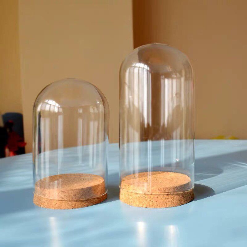 Didelio dydžio stiklinė kupolo vaza namų dekoravimui kamštienos pagrindas permatomas dangtelis Vestuvių rekvizitas „Pasidaryk pats“ draugui malonės dovana