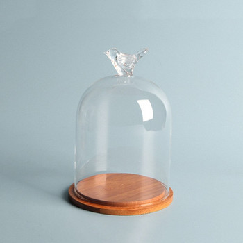 9*11cm Μικρό μέγεθος Bird Top Glass Dome Vase Home Διαφανές κάλυμμα Bamboo Base Wedding Prop Friend Favor Gift
