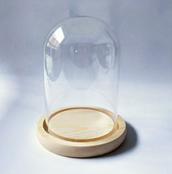 9*12cm Bază plată pentru bușteni Vază cu dom din sticlă Decorație pentru casă Husă transparentă DIY Prieten Favoare Cadou Nuntă Prop