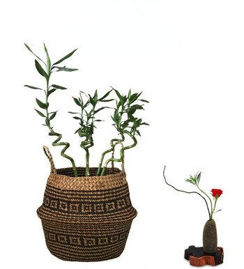 Шарка на хризантема Плетена кошница с морски водорасли Кошница с цветя Декорация от растения Орнамент Тъкана кошница за пране Плетена кошница