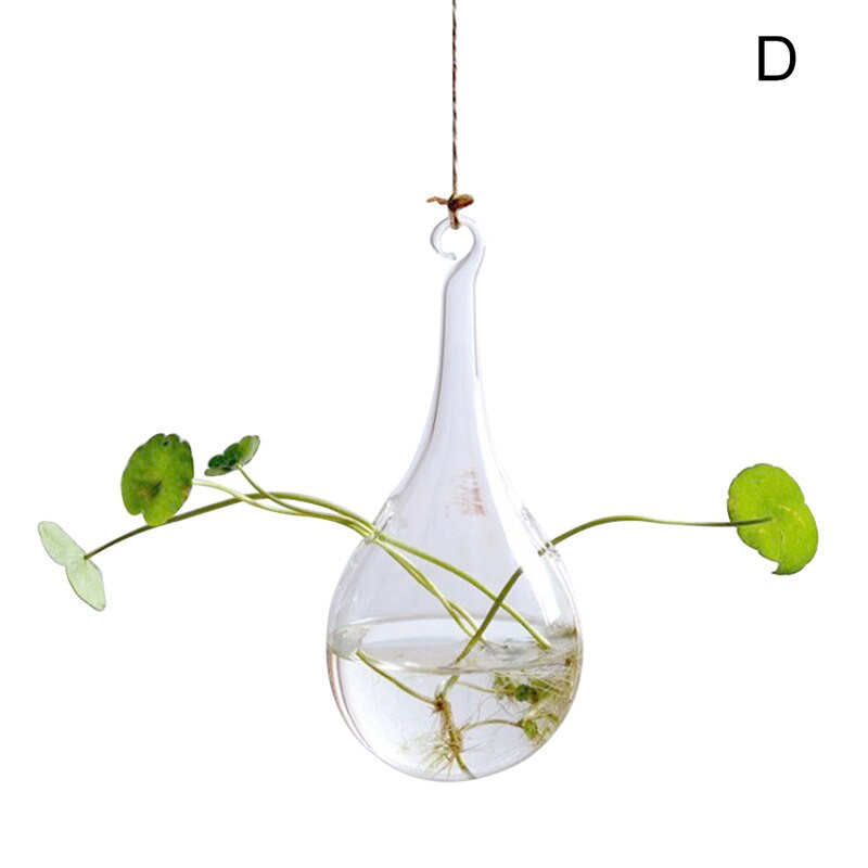 Viseće prozirne staklene vaze Cvijeće Hidroponsko bilje Ured Dekoracija doma Terarij S55
