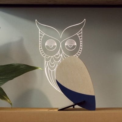 Kūrybingi namai Papuoškite gyvūnus šviečiančius papuošalus Medžio akrilo meno stalo papuošalai Pelikano Sirijaus banginio tukano kambario dekoras