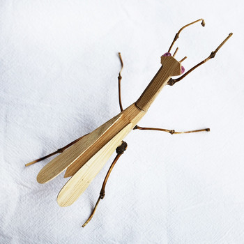 Χειροποίητο έντομο μπαμπού Mantis Beetle Retro Crafts Διακόσμηση για μικρά ζώα στο γραφείο