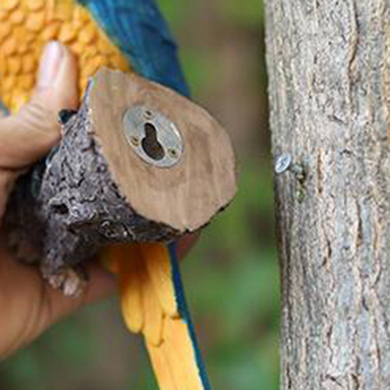 Dervos paukščio figūrėlė Tukano medžio apkabinimo sodo statula, gyvas gyvūnas stovi skulptūra Medžio papuošalai Dervos paukščio figūrėlė Tou