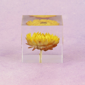 Ρητίνη κρυστάλλου γυαλιού Κόκκινη Daisy Cube Πικραλίδα Paperweight Κίτρινο Μωβ Λουλούδια Μαμά Χριστουγεννιάτικη αγάπη Δώρο γενεθλίων με ξύλινο κουτί