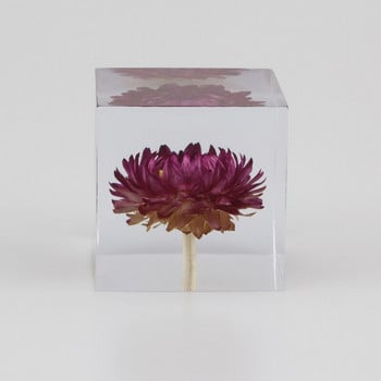 Ρητίνη κρυστάλλου γυαλιού Κόκκινη Daisy Cube Πικραλίδα Paperweight Κίτρινο Μωβ Λουλούδια Μαμά Χριστουγεννιάτικη αγάπη Δώρο γενεθλίων με ξύλινο κουτί