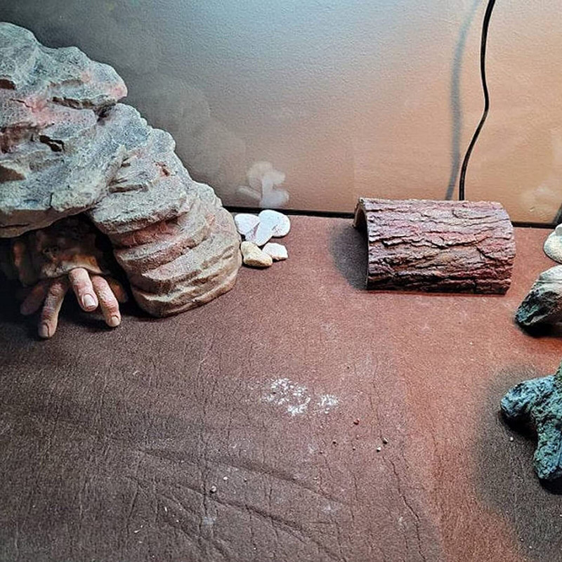 Pirštų krabai Šiurpios keistos tikroviškos siaubo figūrėlės Miniatiūriniai papuošalai Skulptūra Akvariumas Namų dekoras Gyvūnai Statula Dervos modelis