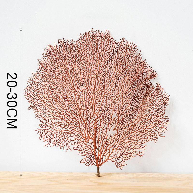 30-40cm submarin natural copac de corali de la Marea Roșie Material de salcie Shell Decor pentru casă Ramă foto Amenajarea unui rezervor de pește