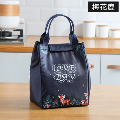 Geantă portabilă pentru prânz Geanta termică pentru picnic Geantă de mână Bento Box Curea Fermoar cu apă Pachet răcitor pentru pregătirea mesei Saci de depozitare a alimentelor