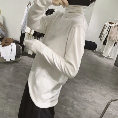 Γυναικείο πουλόβερ Casual με μανίκια Lotus