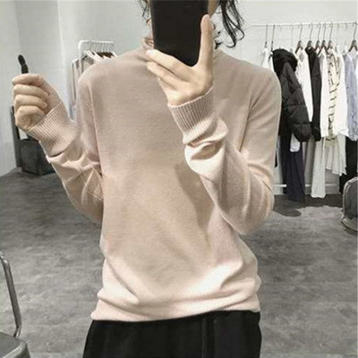 Γυναικείο πουλόβερ Casual με μανίκια Lotus