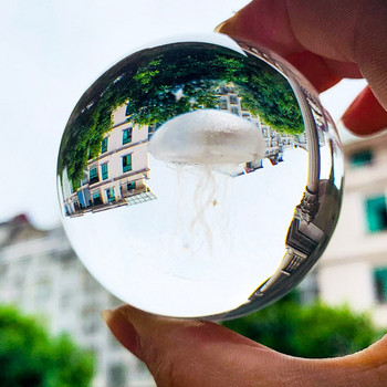 60 χιλιοστά 3D μέδουσες κρυστάλλινη μπάλα λέιζερ χαραγμένη μινιατούρα σφαίρα με οθόνη γυάλινη σφαιρική βάση Διακόσμηση σπιτιού Αξεσουάρ Δώρα Χειροτεχνία