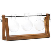 Plantatoare de sticlă pentru birou, vază cu bec, terariu pentru plante de aer cu suport din lemn pentru plante hidroponice butași pentru decorarea biroului