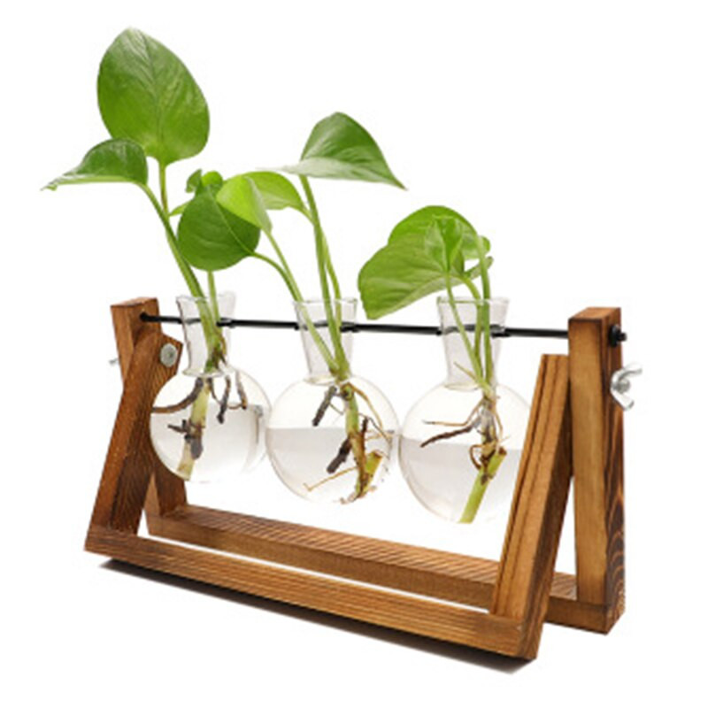 Plantatoare de sticlă pentru birou, vază cu bec, terariu pentru plante de aer cu suport din lemn pentru plante hidroponice butași pentru decorarea biroului