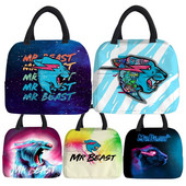 Τσάντα μεσημεριανού γεύματος Mr Beast Gaming Lightning Cat Φορητό θερμικό κουτί ψύξης για γυναίκες κορίτσια αγόρια Παιδικές σχολικές τσάντες