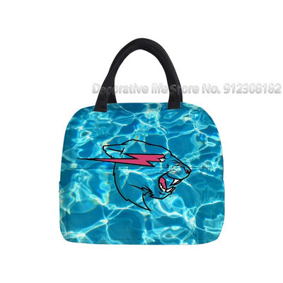 Τσάντα μεσημεριανού γεύματος Mr Beast Gaming Lightning Cat Φορητό θερμικό κουτί ψύξης για γυναίκες κορίτσια αγόρια Παιδικές σχολικές τσάντες