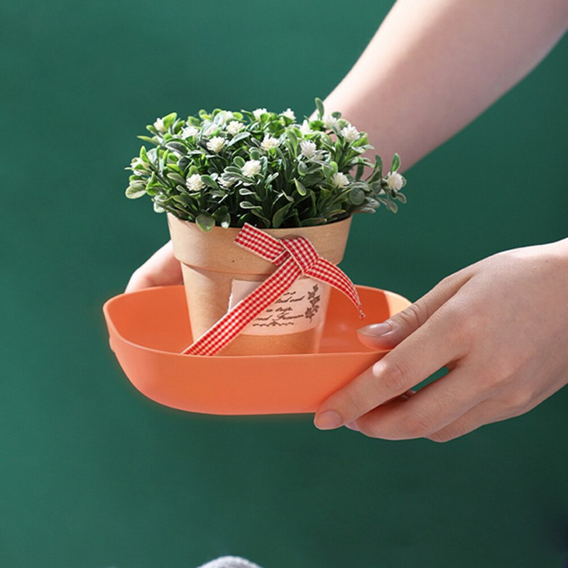 Set de 5 farfurii din plastic cu suport Durabil, rezistente la spargere Vase solide, durabile, sigure, reutilizabile, pentru mașina de spălat vase