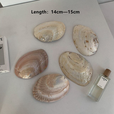 Nordic Ins Pearl Shell stalo padėklas smulkmenos Kvepalai Kosmetika Dekoratyvinis vestuvinis makiažas Vonios papuošalų saugykla mergaitėms Dovanos