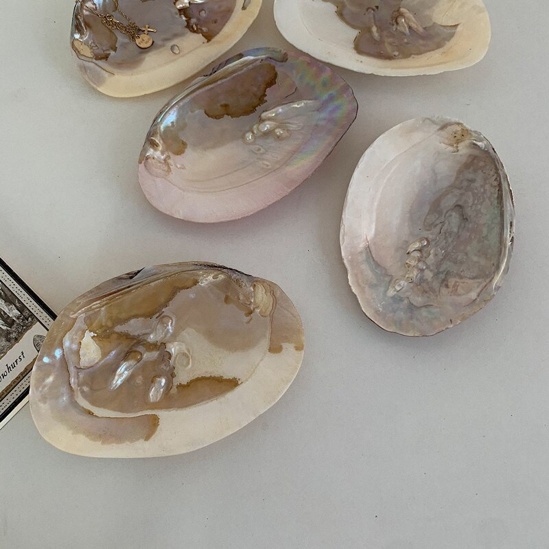 Nordic Ins Pearl Shell stalo padėklas smulkmenos Kvepalai Kosmetika Dekoratyvinis vestuvinis makiažas Vonios papuošalų saugykla mergaitėms Dovanos