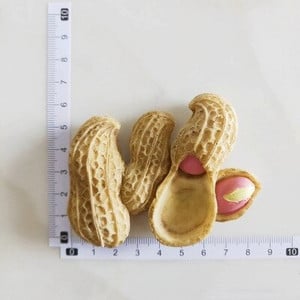 Magnet pentru frigider Legume artificiale Magnet Rășină Alimente Pastă pentru frigider Fructe Dovleac Cartofi Magnet solid 3D