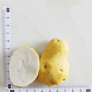 Magnet pentru frigider Legume artificiale Magnet Rășină Alimente Pastă pentru frigider Fructe Dovleac Cartofi Magnet solid 3D