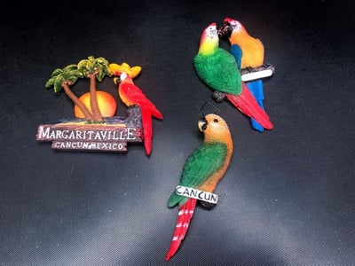 Προσομοίωση Mexican Cancun Parrot Animal Series Χαρακτηριστικά Ταξιδιωτικό Ψυγείο