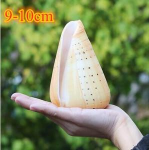 Didelių natūralių jūros kriauklių Paplūdimio kriauklių pavyzdys, skirtas žvejybai tinkle „Schelp“ laivybos namų dekoras Vestuvių vakarėlio dekoro amatai