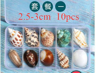 Didelių natūralių jūros kriauklių Paplūdimio kriauklių pavyzdys, skirtas žvejybai tinkle „Schelp“ laivybos namų dekoras Vestuvių vakarėlio dekoro amatai