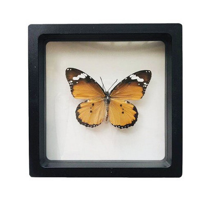 1 vnt tikro drugelio pavyzdžio vabzdžių namų dekoras Nuotraukų rėmelis Rašomojo stalo dekoravimo figūrėlės Gimtadienio dovanų mokymo mokymas