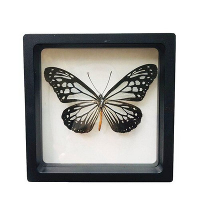 1 vnt tikro drugelio pavyzdžio vabzdžių namų dekoras Nuotraukų rėmelis Rašomojo stalo dekoravimo figūrėlės Gimtadienio dovanų mokymo mokymas