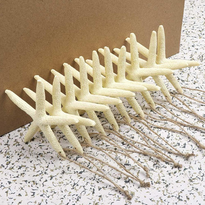 Mūsų šilti 10 vnt dirbtinių kiautų koralų amatai 4 colių natūralūs jūrų žvaigždės vestuvių dekoro jūros kriauklės