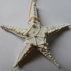 Viduržemio jūros regiono stiliaus namų dekoravimo derva penkių pirštų jūros žvaigždės modeliavimas Tikras penkiakampis jūros žvaigždės papuošalas Sienų ornamentas