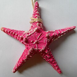 Viduržemio jūros regiono stiliaus namų dekoravimo derva penkių pirštų jūros žvaigždės modeliavimas Tikras penkiakampis jūros žvaigždės papuošalas Sienų ornamentas