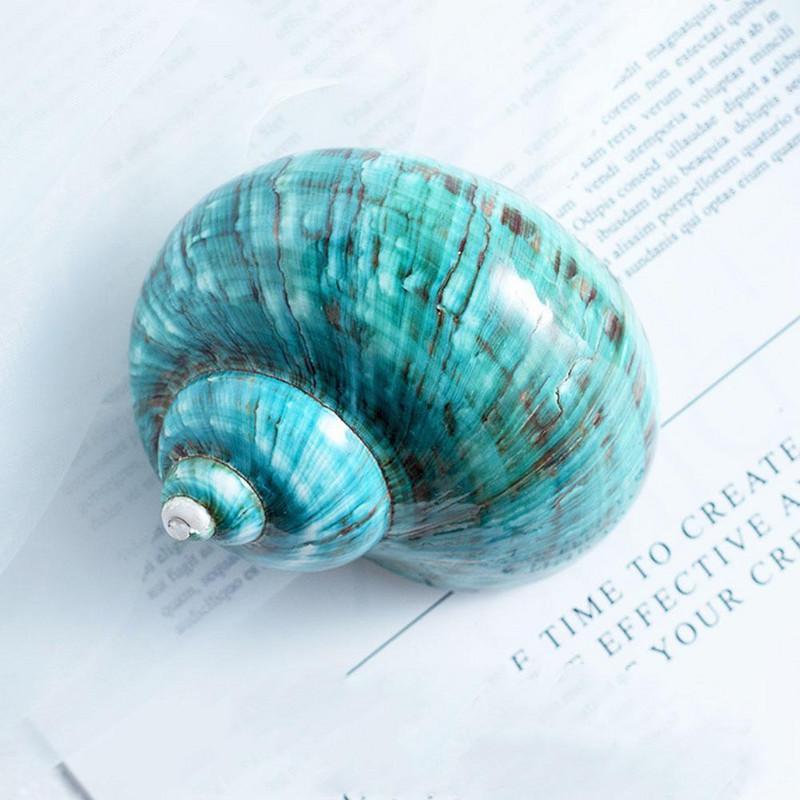 9 ~ 12 cm Plava prirodna školjka školjka za poliranje Opremanje morskog mora Prirodni suvenir Putne školjke Dekoracija za akvarij Poklon