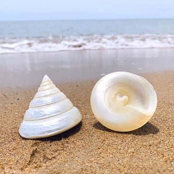 Λευκή κόγχη Φυσικό κέλυφος Conch Ice Tower Σπίτι Γάμος Έπιπλα Κομμάτια Διακόσμηση Δεξαμενής Ψαριών Θαλασσογραφία Δείγματα χειροτεχνίας