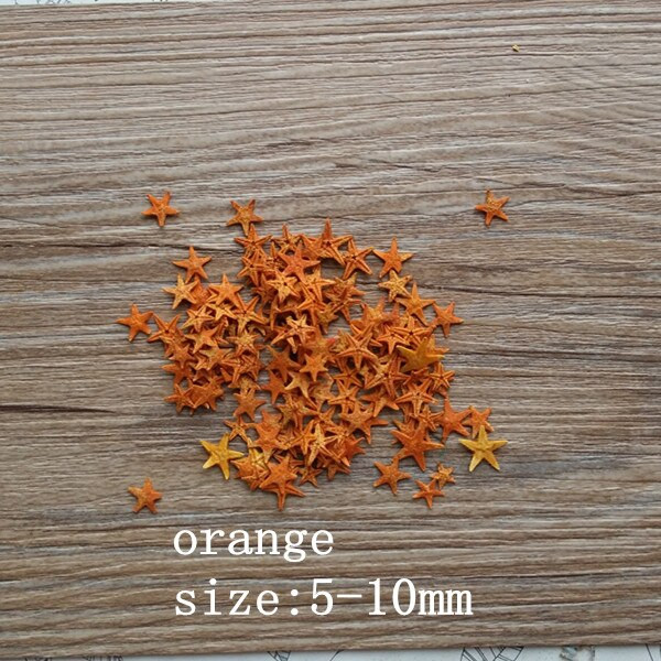 Personalizat bricolaj natural conca multicolor mini steluță de mare naturală dorință sticla decor culori mici stea de mare