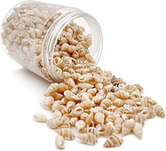 530 ~ 560 buc. Scoici de mare, plajă, în spirală, scoici de mare, farmece pentru decorațiuni pentru casă, petreceri tematice, fabricare de lumânări