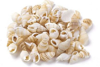 530~560Pcs Sea Shells Ocean Beach Spiral Seashells Craft Charms for Home Decorations, Theme Party, Κεριά