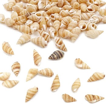 530~560Pcs Sea Shells Ocean Beach Spiral Seashells Craft Charms for Home Decorations, Theme Party, Κεριά