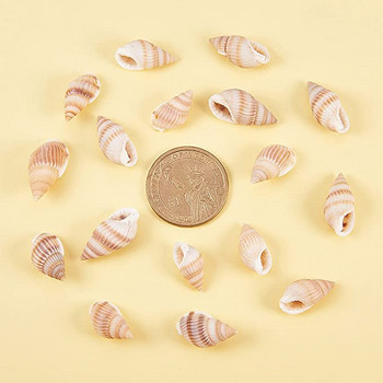 530~560Pcs Sea Shells Ocean Beach Spiral Seashells Craft Charms for Home Decorations, Theme Party, Κεριά