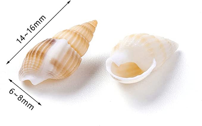 530 ~ 560 buc. Scoici de mare, plajă, în spirală, scoici de mare, farmece pentru decorațiuni pentru casă, petreceri tematice, fabricare de lumânări