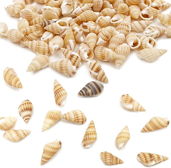 530 ~ 560 buc. Scoici de mare, plajă, în spirală, scoici de mare, farmece pentru decorațiuni pentru casă, petreceri tematice, fabricare de lumânări