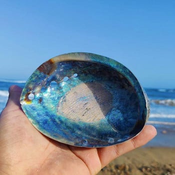 11-13 см Голяма дъга Abalone Charm Beach Sea Красив офис Море Естествена цветна декорация на кола House Seashel O8v4