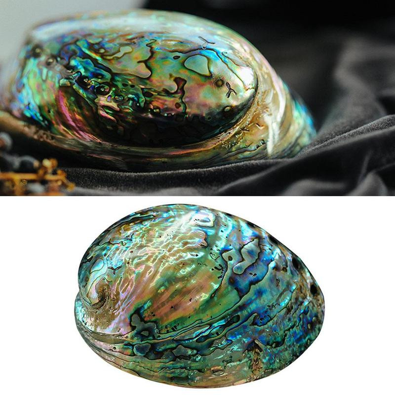 11-13 cm didelė vaivorykštė abalone žavesio paplūdimys jūra Graži biuro jūra Natūrali spalvinga automobilio puošmena namas Seashhel O8v4