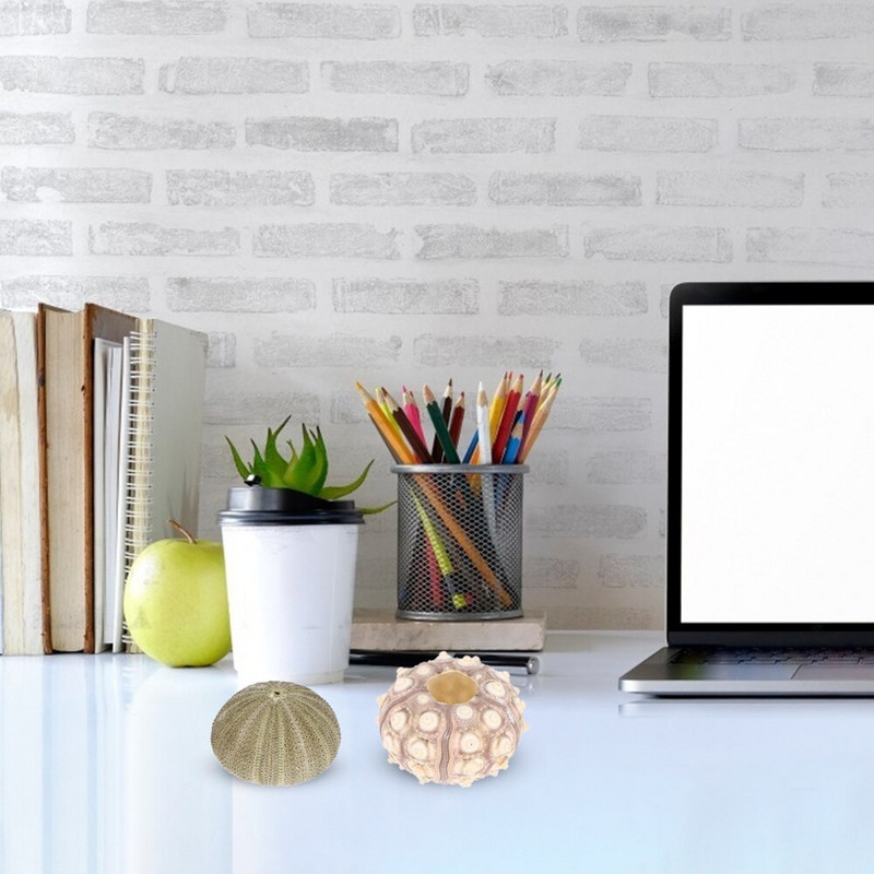 Jūros ežių kriauklės sodinamosios kriauklės oro vazono akvariumo laikiklis žuvų bako kriauklių dekoras Pakabinamas mini kabykla Tillandsia dekoratyvinis