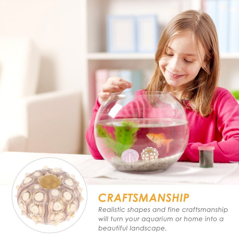 Jūros ežių kriauklės sodinamosios kriauklės oro vazono akvariumo laikiklis žuvų bako kriauklių dekoras Pakabinamas mini kabykla Tillandsia dekoratyvinis