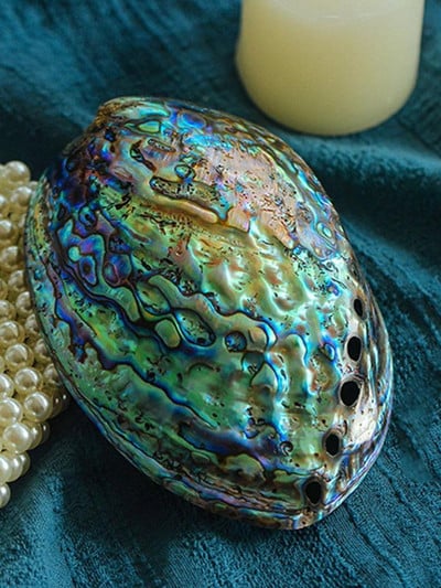 Abalone Shell Natural Polished Craft Conch Διακόσμηση σπιτιού Μεγάλο Φωτεινό Πράσινο Λευκό Ενυδρείο Εξωραϊσμός Γάμος Τοπίο Διακόσμηση